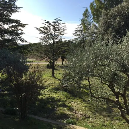 Maison Calme Homestay *